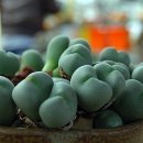 사진을 찍다 이미지