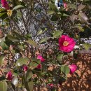 양산시립영어도서관 | 양산시립어린이영어도서관(26.2.4.)