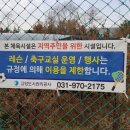 선유동체육시설 풋살장 이미지