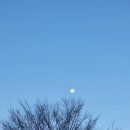 조마낚시터 이미지