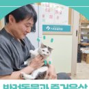 가족동물병원 네이버블로그