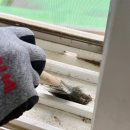 주전초등학교 이미지