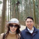 보길도 쉼표 | 물오른 봄빛을 찾아 떠난 남도 여행