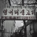 고바우집 Daum카페