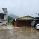 뜨락식당 | 경남 양산 애견동반 가능한 캠핑식당 맛집 장방뜨락