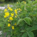 국립DMZ자생식물원방문자센터 이미지