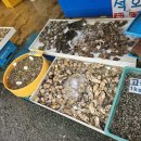 갈치경로당 이미지