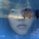 들말공인중개사사무소 이미지