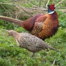 무지개농장 이미지