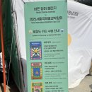 서울 | 봉은사역 | 2025 봉은사 불교문화 체험 한마당 ‘야단법석’ 후기
