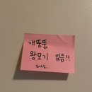 2024년 8월 (5) 지출이 제일 쉬웠어요
