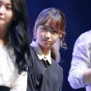 귀엽댕 이미지