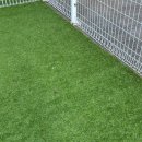 피플펜션 | [경기 포천] 피플애견독채펜션 7월 내돈내산 방문 후기