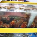 강릉 중앙시장 이미지