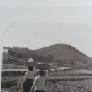 새참 - 1621 | 새참