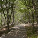 산림욕장 이미지