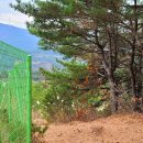 청정1호 태양광발전소 이미지