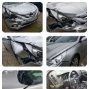 대한카독크 이미지