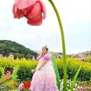 뷰티페어리