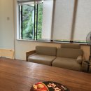 마산-양봉-양-비-01 | 코타키나발루 여자 혼자여행 #02 🇲🇾