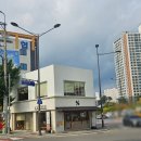 텐퍼센트우산