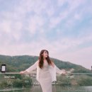 1일 1닭