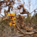 두류공원관리사무소 이미지