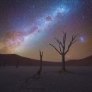 별이 빛나는 밤 이미지