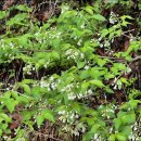 골뫼골명품마을 이미지