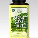 보리보틀 네이버블로그