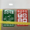 뚱보농산 | [뚱보농산] 자두