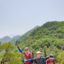 옥순봉.구담봉 이미지