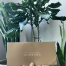 킴스관광호텔 | 국민관광상품권 사용처 정리｜롯데백화점·호텔·카페까지 실제 사용후기