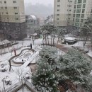 스파팰리스리가 이미지