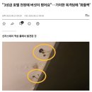 신라여관 | 신라스테이 역삼점, 방 천장에 버섯이~ 여관보다 못한 호텔.
