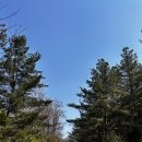 행복한다이닝 | "군위 사유원&amp;사담(다이닝 런치)" 주말 방문 후기