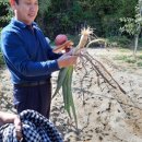 플러스농장2 이미지