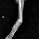 삼화 우수한동물병원 이미지