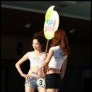 에코코리아 이미지