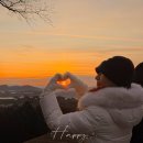 면일 | 서울 미슐랭 그랜드하얏트서울 테판 주말 페스티브 런치 후기