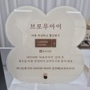 블랙브로우 | 대전 송촌동 브로우아이 물광블랙펌 후기, 또렷한 컬이 오래가는 대전속눈썹펌