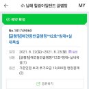 힐링아일랜드 글램핑 티스토리