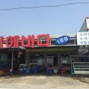 서해백합