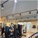 트라이짐 이미지