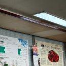 주식회사 명량 | 전남 목포 식도락 여행 내돈내산 후기2 / 목포 시티투어, 초원음식점, 해남126, 우수영관광단지, 코롬방...