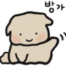 돈암스크린골프장 이미지