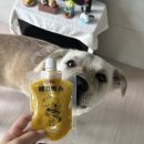FLUO | 강아지 야채퓨레 플루오 베지믹스 수제간식 후기