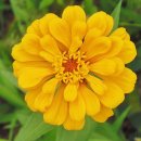 우이천 산책로 이미지