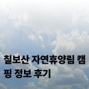 달산면사무소 화장실 | 동해바다 보이는 칠보산 자연휴양림 캠핑 정보