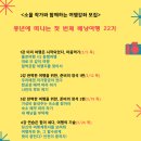 중년에 떠나는 첫번째 배낭여행 이미지